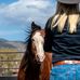 J Family Equine, Camri Johnson - Facebook