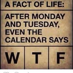 Camron  Cox - @steelers__4_life - Instagram