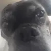 Camron cox - @camron_3069 - TikTok