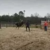 Cameron Edwards - @cameron.edwards79 - TikTok