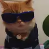 Vrxy- - @camron.edwards1886 - TikTok