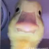 Camron Evans - @camron.evans22 - TikTok