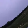 Camron Evans - @camron.evans5 - TikTok