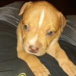 camron - @camron_harrell - Instagram