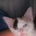 Camron Mitchell - Facebook