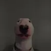Cameron Phillips - @cameronphillips88 - TikTok