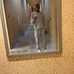 Camron Taylor - Facebook