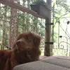 Camryn Blake - @camrynblake8 - TikTok