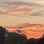 Camryn Cunningham - @camryn.cunningham - Instagram