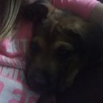camryn davis - @belcher.n8kki33 - Instagram