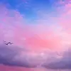 💗💗💜CAMRYN💜💗💗 - @camryn.jackson - TikTok