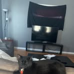 Camryn Moore - Facebook