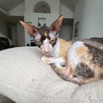 Camryn Roy - @camroy6 - Instagram