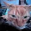 camrynryan4 - @camrynryan1206 - TikTok