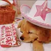 camryn!!❤️🥳 - @camrynshawaii - TikTok