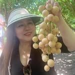 Cẩm Tú Tô - @to_camtu - Instagram