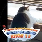 @camtu.tothicamtu - Instagram