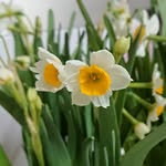 Can Phạm - @canpham0304 - Instagram