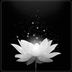 Can Pham - @canpham8836 - Instagram