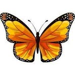 Canan Demir - Facebook