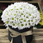 Canan Demir - Facebook