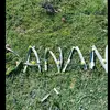 😍CANAN DEMİR 😍 - @42canandemir - TikTok