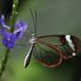 Candace Archer - Facebook