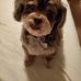Candace Archer - Facebook