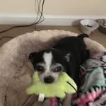 Candace Chandler Archer - @candacechandlerarcher - Instagram