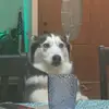 candaceasher7 - @candaceasher7 - TikTok