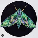 Candace Nicolle Austin - @candaceaustinart - Instagram