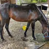 candacebaker20 - @candacebaker20 - TikTok