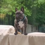 Candace Allman - @candace.allman - Instagram