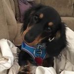 Candace Bennett - @candace.bennett.562 - Instagram