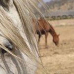 Candace Bentel - @candacebentel - Instagram