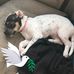 Candace Best - Facebook