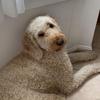 candace may cioffi☀️ - @candace.the.best - TikTok