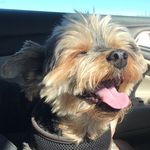 Candice Betts - @bettscandice - Instagram