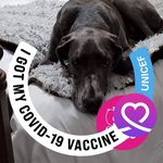 Candace Beverly - @cand.acebeverly - Instagram