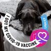 candacebeverly5 - @candy196644 - TikTok