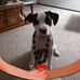Candi Biddle - Facebook