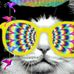 Candace Blevins - Facebook