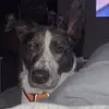 Candace Blevins - @candace.blevins08 - TikTok