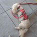 Candace Boger - Facebook