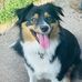 Candace Bracey - Facebook