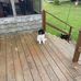 Candace Breen - Facebook