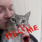 Candace Hart Briscoe - @catunicornyogini - Instagram
