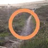 Candace Buchanan - @candace.buchanan1 - TikTok