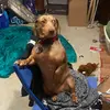 Candace Buck - @user675401644 - TikTok