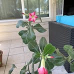 Candace Butcher - Facebook